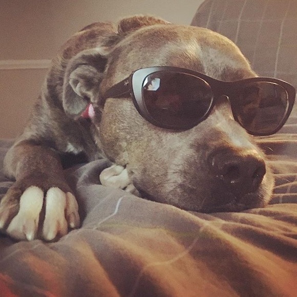 Meet your Posher, Heather - Picture 1 of 1